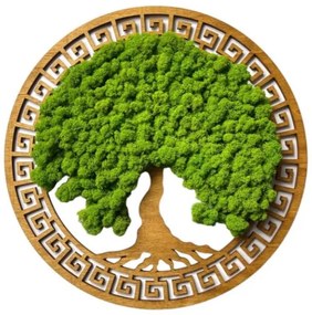 Strom na stenu z machu Kaladrius 50 cm