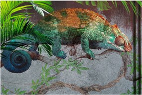 Obraz - Chameleon (90x60 cm)