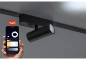 Rabalux 70125 - LED Stm. bod. sviet. do 1-fáz. lišt. sys. LiTrack LED/5W/24V