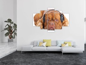 Obraz psa so slúchadlami (150x105 cm)