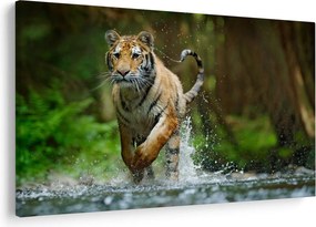 Obraz bežiaceho tigra (90x60 cm)