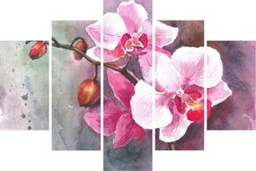 Obraz - Orchidey, aquarel (150x105 cm)