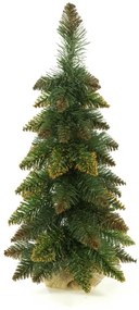 Vianočný stromček Borovica zlatá 55 cm