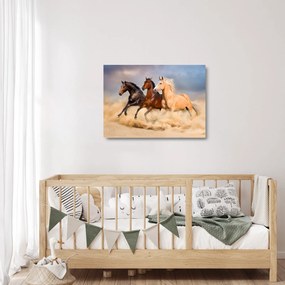 Sklenený obraz - Divé kone (70x50 cm)