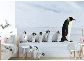 Fototapeta na stenu A family of penguins