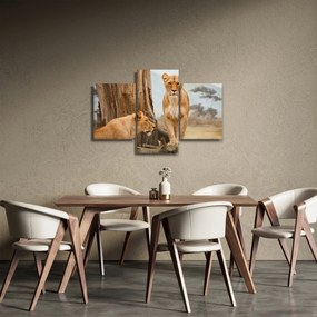 Obraz - dve levice (90x60 cm)
