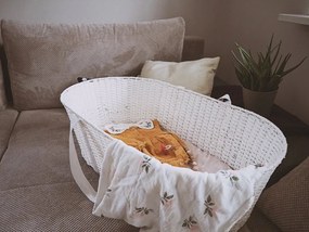 Ahojbaby Mojžišov košík pre bábätko Paper Dream white + matrac Basic