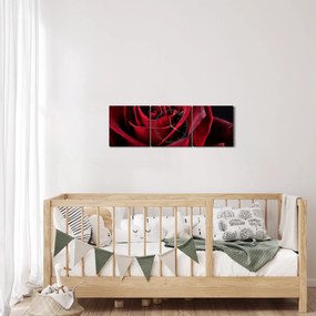 Obraz - Červená ruža (s hodinami) (90x30 cm)