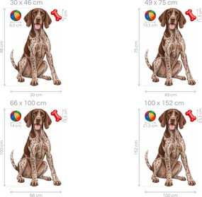 Nemecký krátkosrstý ohár s loptičkou a kosťou maľované textilné nálepky na stenu pre milovníkov loveckých psov arch 30 x 46 cm
