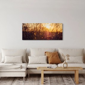 Obraz poľa pri západe slnka (120x50 cm)