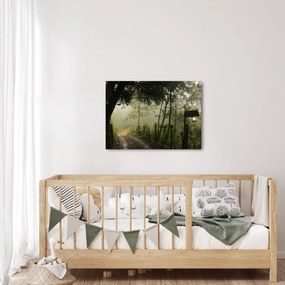Obraz rannej hmly (70x50 cm)