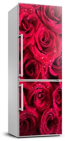 Nálepka fototapety na chladničku Červené ruže FridgeStick-70x190-f-122317792