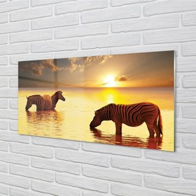 Sklenený obraz Zebry voda západ slnka 120x60 cm