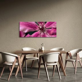 Obraz ružového kvetu plamienku (120x50 cm)