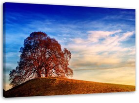 Obraz na plátně Strom na kopci Příroda - 120x80 cm