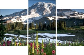 Obraz - Mount Rainier (90x60 cm)