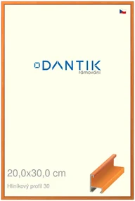 DANTIK rám na obraz 20x30 | ALU Dýha barevná oranžová (Sklo Čiré)