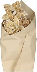 Súprava sušených béžových kvetov georgína Fleur Dahlia – 55 cm / 3ks