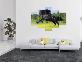 Obraz - Kôň s vzdušnou hrivou (150x105 cm)