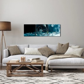 Obraz - Makro (s hodinami) (90x30 cm)