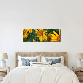 Obraz žltých kvetov (s hodinami) (90x30 cm)