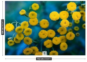 Fototapeta Vliesová Žlté kvety 312x219 cm