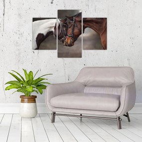 Obraz - Zamilované kone (90x60 cm)