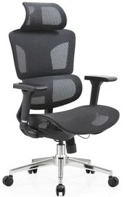 Ergonomické kreslo Ergo Omega čierne, komfort, 4D nastavenie, mesh