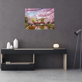 Obraz japonskej čerešne (70x50 cm)