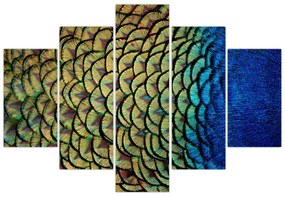 Obraz - Pávie perie (150x105 cm)