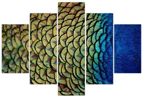 Obraz - Pávie perie (150x105 cm)