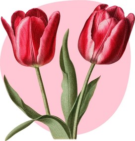 PIPPER. Tulipány - textilná nálepka na stenu