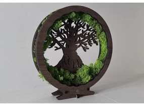 Li-Go 23631/DUB2 - LED Stmievateľná stolová dekorácia LED/12W/230V 30x31 cm dub