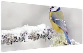 Obraz - Sýkorka modrinka v lese (120x50 cm)