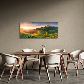 Obraz - Letná krajina (120x50 cm)