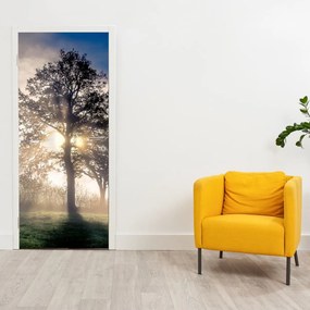 Fototapeta na dvere - Strom v hmle (95x205cm)