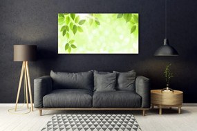 Obraz plexi Listy príroda rastlina 120x60 cm