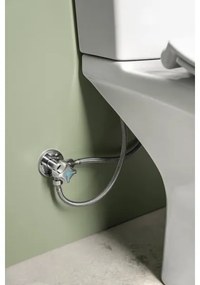 Sapho - WC kombi s bidetovou sprškou, zadné odpadové pripojenie, keramika/biela