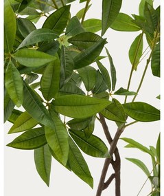 Umelá rastlina (výška 180 cm) Pachira – Kave Home