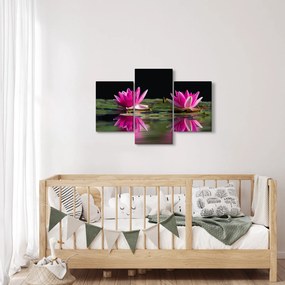 Obraz lekien na vode (90x60 cm)