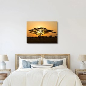Sklenený obraz - Africká savana (70x50 cm)