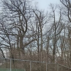 DECOLED Svetelný stožiar pre žiarovky s päticou E27, 50 m, 50 objímok, IP67