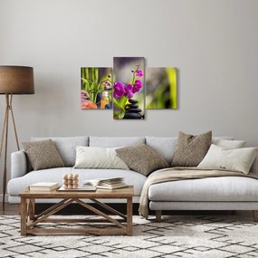 Obraz - spa and stones (90x60 cm)