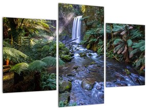 Obraz australského dažďového lesa (90x60 cm)