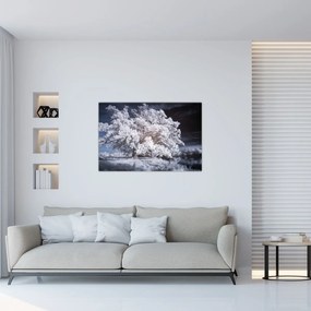 Obraz - Snehobiely strom (90x60 cm)
