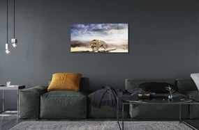 Obraz na skle panter mraky 120x60 cm