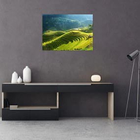 Sklenený obraz - Koncert ryžových terás (70x50 cm)