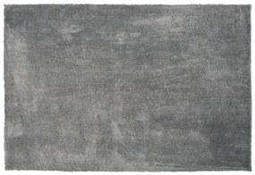 Koberec 200 x 300 cm svetlosivý EVREN Beliani