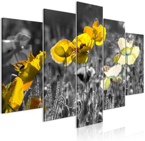 Artgeist Obraz - Yellow Poppies (5 Parts) Wide Veľkosť: 100x50, Verzia: Premium Print
