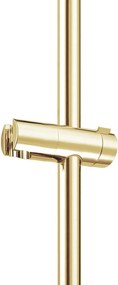 Tutumi Sprchová tyč s posuvným držiakom REA-P5981, zlatá